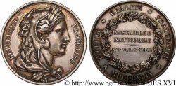 ZWEITE FRANZOSISCHE REPUBLIK Médaille de Charles Henri Philippe de Noailles, duc de Mouchy