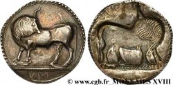LUCANIE - SYBARIS Nomos, statère ou didrachme