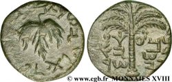 JUDAEA - SECUNDA RIVUELTA DE BAR KOKHBA Moyen bronze Æ 26