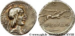 CALPURNIA Denier SPL