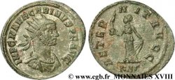 CARIN Aurelianus