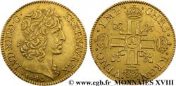 LOUIS XIII LE JUSTE Louis d or aux huit L (effigie de Jean Warin) 1640 Paris, Monnaie du Louvre