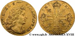 LOUIS XIV THE SUN KING Louis d or à la tête nue, au buste viril 2e type 1679 Paris