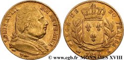 20 francs or Louis XVIII, buste habillé 1814 Bordeaux F.517/3