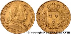 20 francs or Louis XVIII, buste habillé 1814 Perpignan F.517/7 TTB