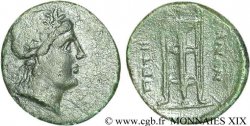 BRUTTIUM - PETELIA Hexakalkos ou trois quart d’obole, (PB, Æ 19)