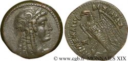 EGITTO - REGNO D EGITTO - TOLOMEO VI PHILOMETOR Bronze, (GB, Æ 30)