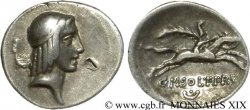 CALPURNIA Denier