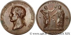 PREMIER EMPIRE Médaille Br 42, Napoléon Ier couronné roi d Italie