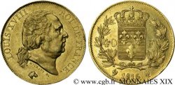 40 francs or Louis XVIII 1816 Perpignan F.542/4 TTB