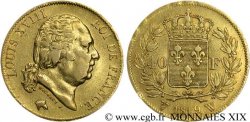 40 francs or Louis XVIII 1819 Lille F.542/9 MBC