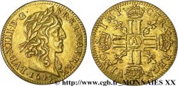 LOUIS XIII LE JUSTE Demi-louis d or aux huit L (effigie de Jean Warin) 1643 Paris, Monnaie du Louvre