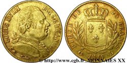 20 francs or Louis XVIII, buste habillé 1815 Bayonne F.517/14