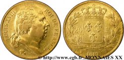 20 francs or Louis XVIII, tête nue 1819 Lille F.519/18