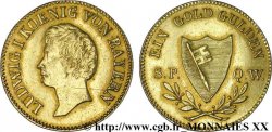 GERMANIA - WURZBURG Florin n.d.