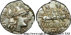 LUCRETIA Denier SPL
