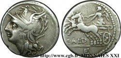 COELIA Denier