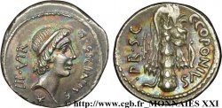 SICINIA Denier