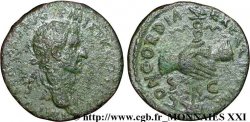 NERVA Dupondius, (MB, Æ 27) TB+/TTB