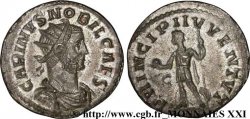 CARIN Aurelianus