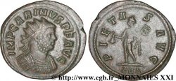 CARIN Aurelianus SUP