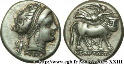 CAMPANIE - NEAPOLIS (NAPLES) Nomos ou didrachme