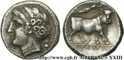 CAMPANIA - NEAPOLIS Nomos ou didrachme