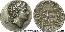 MACEDONIAN KINGDON - PERSEUS Tétradrachme