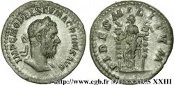 MACRINO Denier MBC+