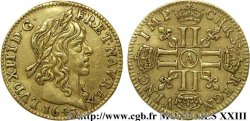 LOUIS XIII LE JUSTE Demi-louis d or aux huit L (effigie de Jean Warin) 1643 Paris, Monnaie du Louvre