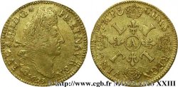 LOUIS XIV THE SUN KING Double louis d or aux quatre L 1693 Paris