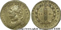 LOUIS XVI (MONARQUE CONSTITUTIONNEL) 12 deniers dit au faisceau , type FRANCOIS 1791 Paris, Monnaie de Matignon