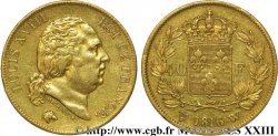 40 francs or Louis XVIII 1816 Lille F.542/5