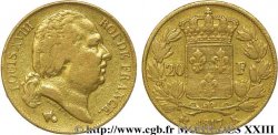 20 francs or Louis XVIII, tête nue 1817 Bordeaux F.519/6