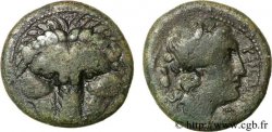 BRUTTIUM - REGGIO DI CALABRIA Obole ou demi-unité de bronze, (MB, Æ 20)