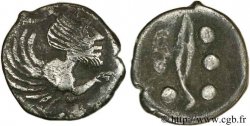 SICILIA - IMERA Hemilitron