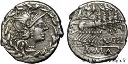 GELLIA Denier