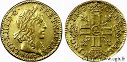 LOUIS XIII LE JUSTE Demi-louis d or aux huit L (effigie de Jean Warin) 1643 Paris, Monnaie du Louvre