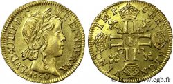 LOUIS XIV THE SUN KING Louis d or à la mèche longue 1650 Angers