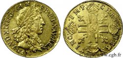 LOUIS XIV LE GRAND OU LE ROI SOLEIL Louis d or aux huit L, portrait apollinien 1667 Montpellier