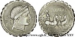 NAEVIA Denier serratus SUP
