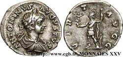 CARACALLA Denier AU/AU