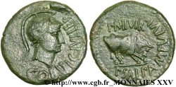 HISPANIA - SEDETANOS - KELSE (Province of Zaragoza - Velilla de Ebro) As au taureau fVZ