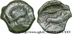 TURONS (Région de Touraine) Bronze AGVSSROS au sanglier