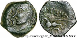 PAGUS CATUSLUGI - Sanctuaire de BOIS L ABBÉ (Seine-Maritime) Bronze VIIRICIVS, classe II