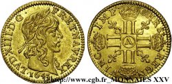LOUIS XIII LE JUSTE Demi-louis d or aux huit L (effigie de Jean Warin) 1643 Paris, Monnaie du Louvre