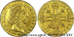 LOUIS XIII LE JUSTE Demi-louis d or aux huit L (effigie de Jean Warin) 1643 Paris, Monnaie du Louvre