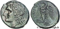 SICILE - SYRACUSE Hemilitron ou bronze à l’aigle, (MB, Æ 24)