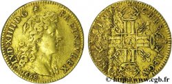 LOUIS XIV THE SUN KING Louis d or juvénile tête nue 1668 Paris