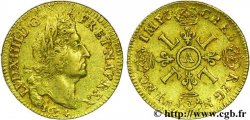 LOUIS XIV THE SUN KING Louis d or aux quatre L 1694 Paris